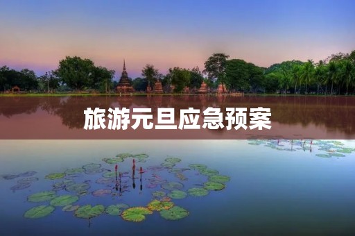 旅游元旦应急预案
