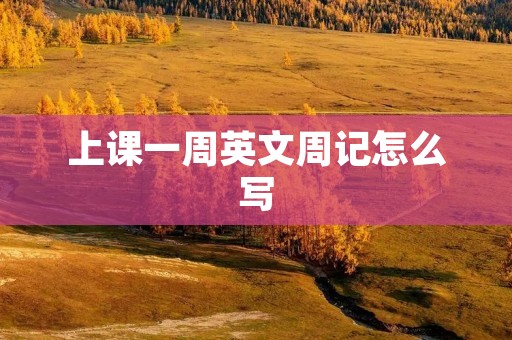 上课一周英文周记怎么写