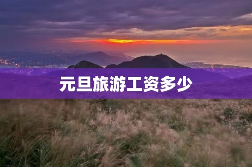 元旦旅游工资多少