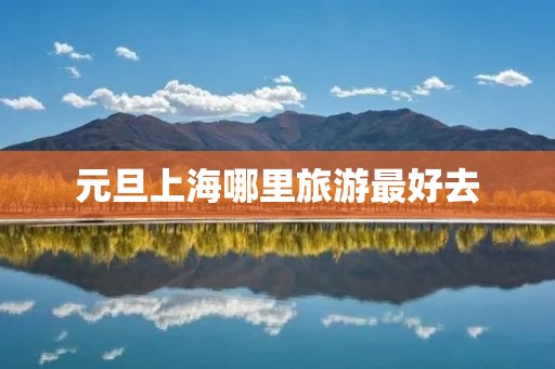 元旦上海哪里旅游最好去