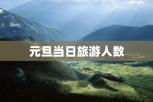 元旦当日旅游人数