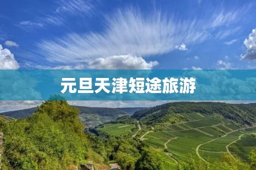 元旦天津短途旅游