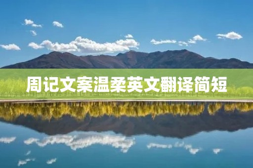 周记文案温柔英文翻译简短