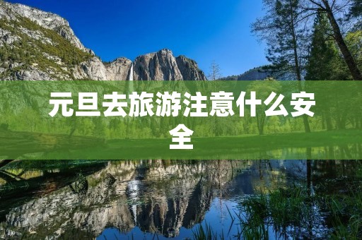 元旦去旅游注意什么安全