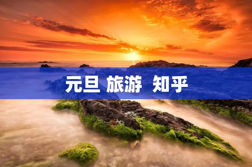元旦 旅游  知乎