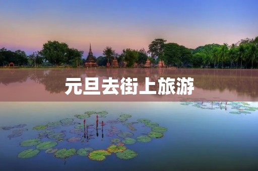 元旦去街上旅游