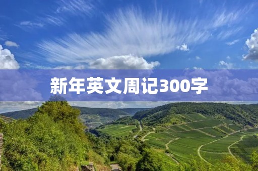 新年英文周记300字