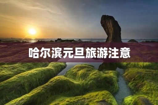 哈尔滨元旦旅游注意