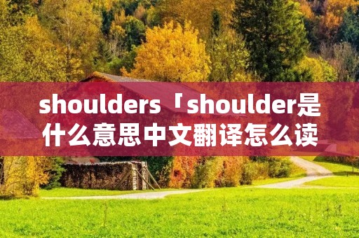 shoulders「shoulder是什么意思中文翻译怎么读」