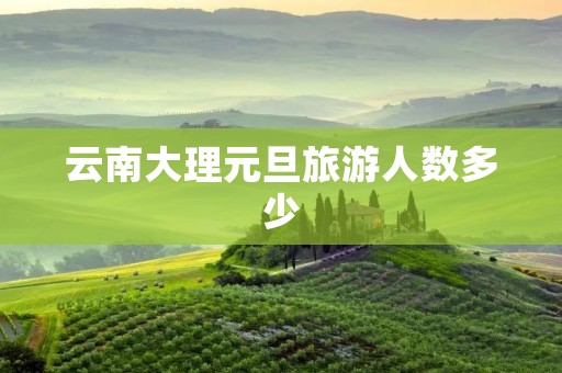 云南大理元旦旅游人数多少