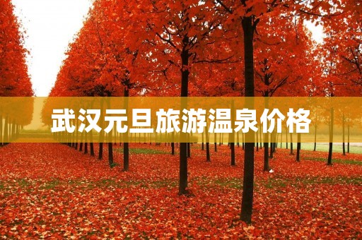 武汉元旦旅游温泉价格