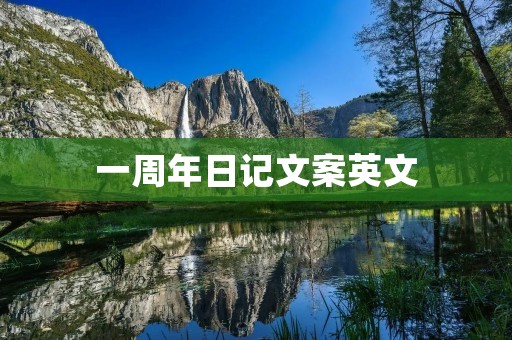 一周年日记文案英文