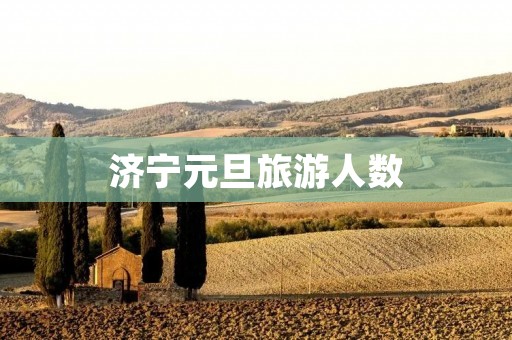 济宁元旦旅游人数