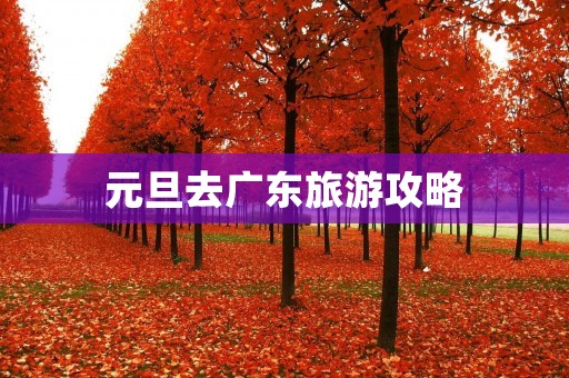 元旦去广东旅游攻略 元旦去广东旅游攻略