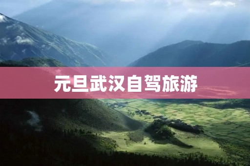 元旦武汉自驾旅游