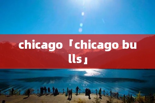 chicago「chicago bulls」