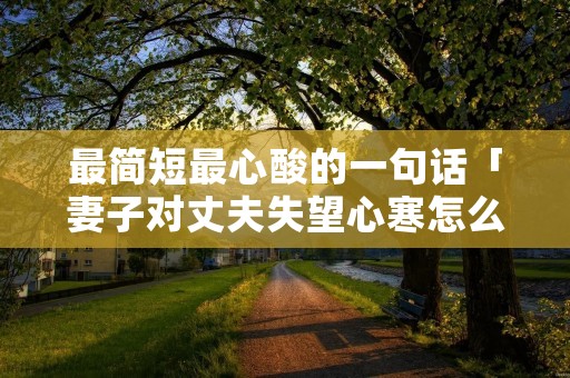 最简短最心酸的一句话「妻子对丈夫失望心寒怎么挽回」