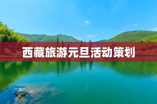 **旅游元旦活动策划 **旅游元旦活动策划