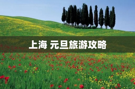 上海 元旦旅游攻略