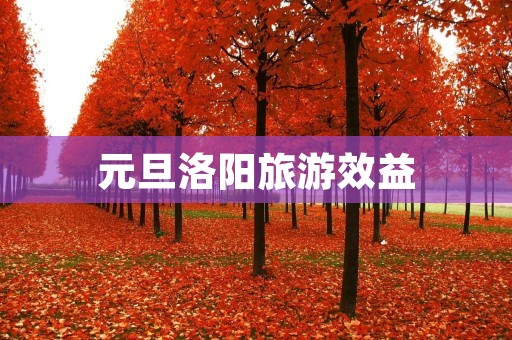 元旦洛阳旅游效益