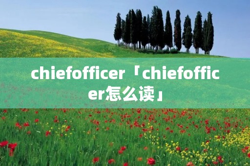 chiefofficer「chiefofficer怎么读」 chiefofficer「chiefofficer怎么读」