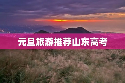 元旦旅游推荐山东高考