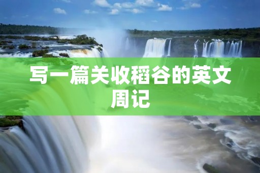 写一篇关收稻谷的英文周记