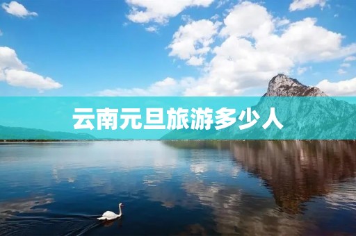 云南元旦旅游多少人