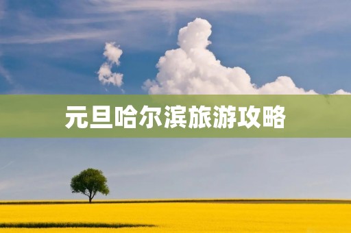 元旦哈尔滨旅游攻略