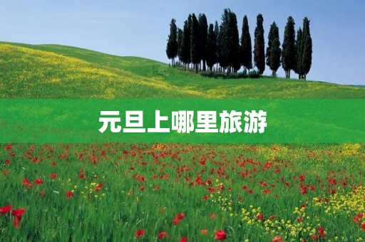 元旦上哪里旅游