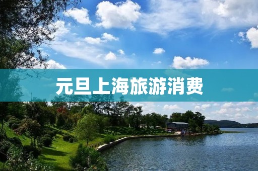 元旦上海旅游消费