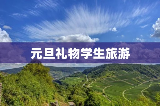 元旦礼物学生旅游