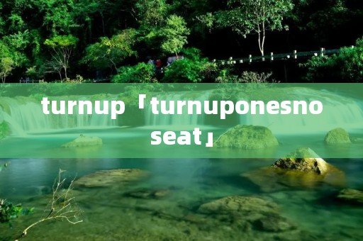 turnup「turnuponesnoseat」