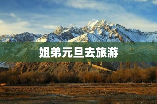 姐弟元旦去旅游