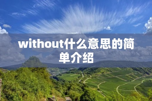 without什么意思的简单介绍 without什么意思的简单介绍