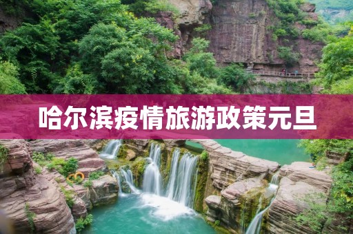哈尔滨疫情旅游政策元旦