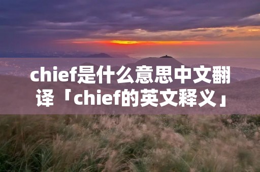 chief是什么意思中文翻译「chief的英文释义」
