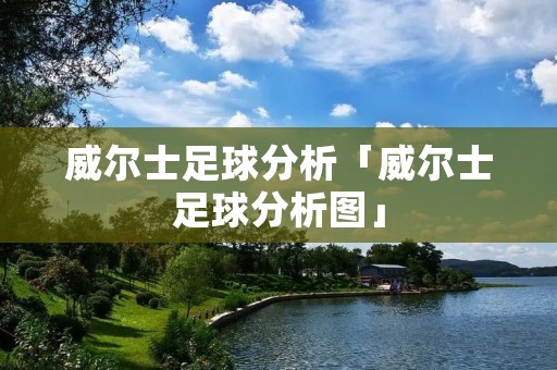 威尔士足球分析「威尔士足球分析图」 威尔士足球分析「威尔士足球分析图」