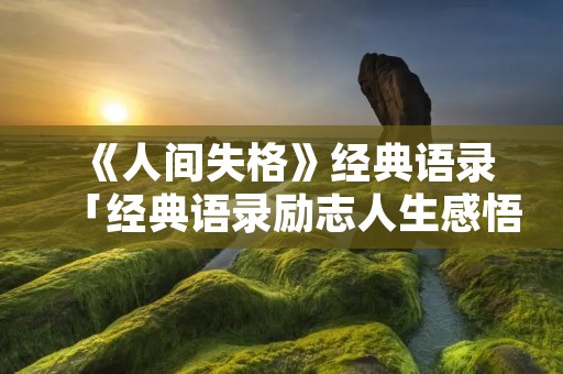 《人间失格》经典语录「经典语录励志人生感悟」