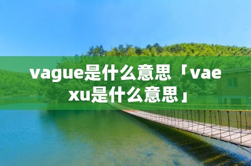 vague是什么意思「vae xu是什么意思」