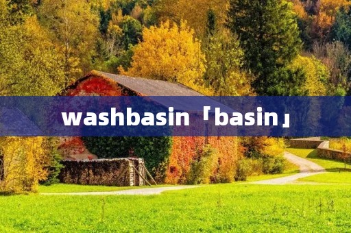 washbasin「basin」