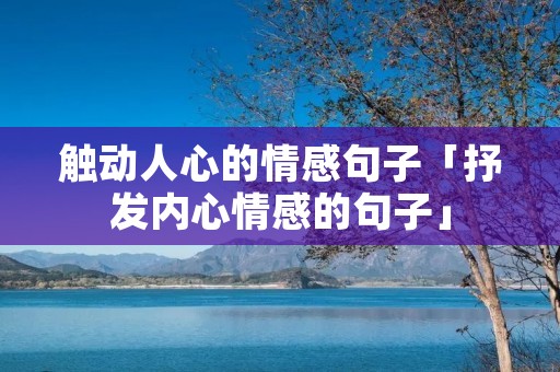 触动人心的情感句子「抒发内心情感的句子」