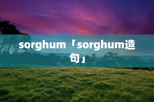 sorghum「sorghum造句」