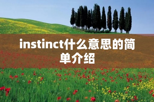 instinct什么意思的简单介绍