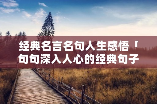 经典名言名句人生感悟「句句深入人心的经典句子」