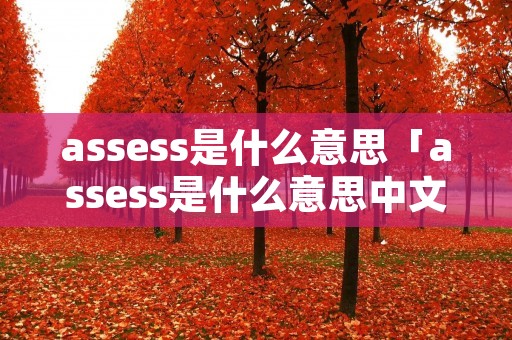 assess是什么意思「assess是什么意思中文翻译成」