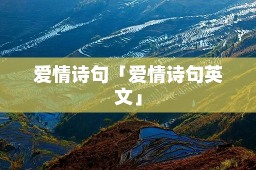 爱情诗句「爱情诗句英文」