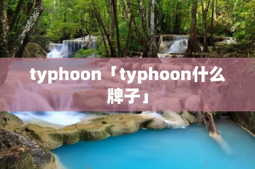 typhoon「typhoon什么牌子」