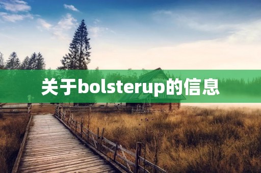 关于bolsterup的信息