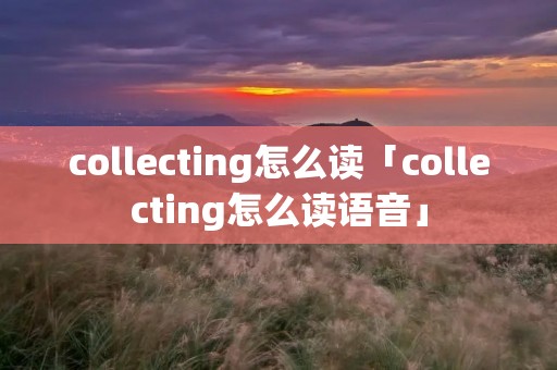 collecting怎么读「collecting怎么读语音」